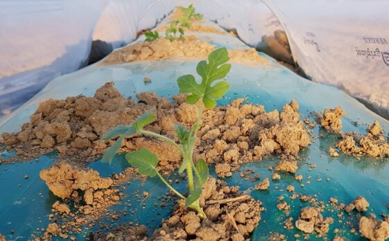 c471b89f-e67a-4c86-9ba7-34e6a67c3bda