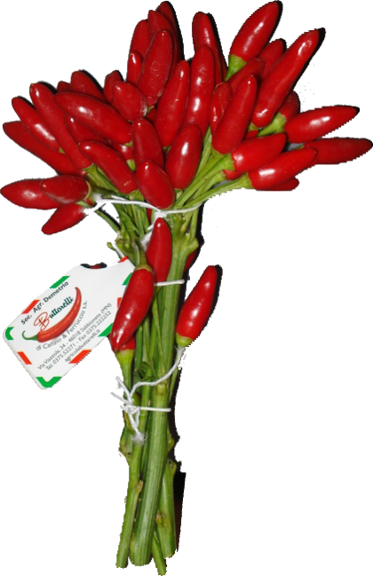 56fa4a59-44c5-4f60-aedc-9936666c7882