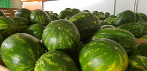 33ba2f65-3bfa-4207-861d-50664f5f7a36 33ba2f65-3bfa-4207-861d-50664f5f7a36