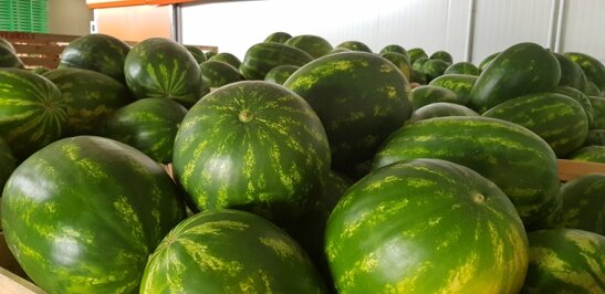 33ba2f65-3bfa-4207-861d-50664f5f7a36