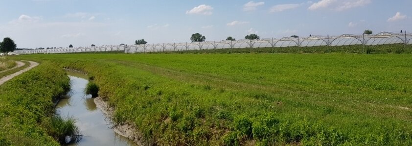 2b3d68c8-8c38-43bf-b82c-6a812576c579