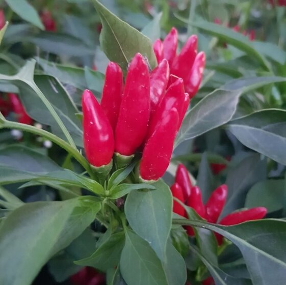 28e68ab2-188c-46d0-9f6c-55576604721a