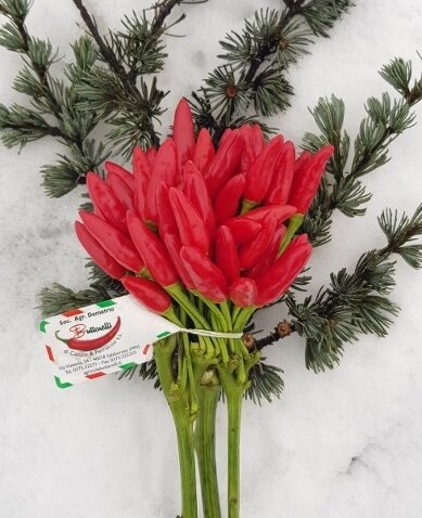 afc8bdec-48ce-4982-a770-e1a60950c7a4 afc8bdec-48ce-4982-a770-e1a60950c7a4