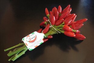 0448fbc4-2978-4693-9f12-6e06b908b31f