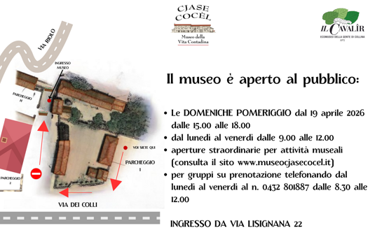 cjase cocèl avviso (5)