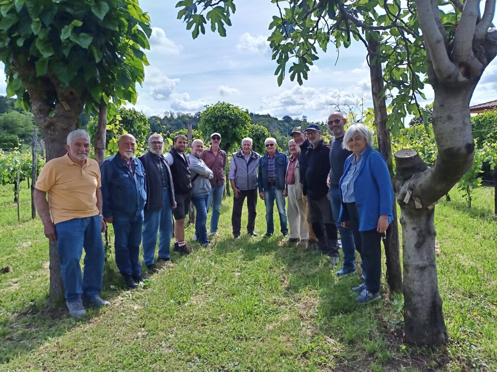 L'appuntamento dedicato alla potatura verde con Livio Tognon