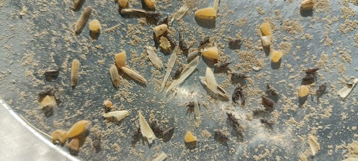 a258c0aa-44d0-41f3-b17f-0422273fe773.jpeg a258c0aa-44d0-41f3-b17f-0422273fe773.jpeg