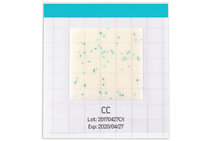 183bbd0b-a96d-4da3-9b4c-206c2c5bd206