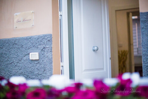 1d4b4bad-7eb9-4d34-82f8-a4ea7ec45847