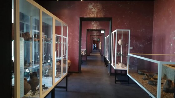 6b9ed4cd-9e40-4371-a960-3f7a307eed48