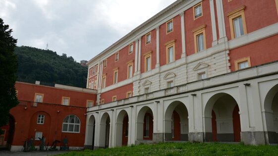 8f3a6a71-19e6-41ba-9460-67dcb9de4442