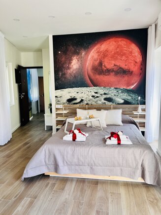 Red Planet Room