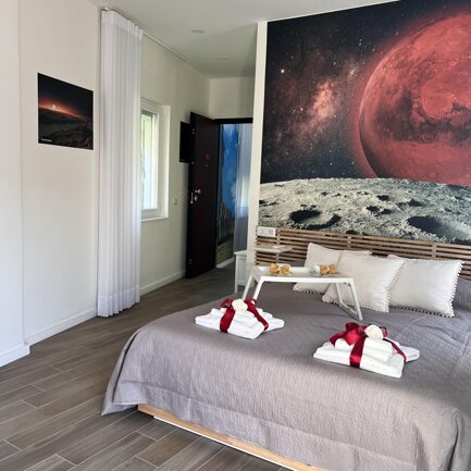 Red Planet Room