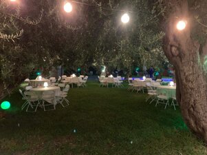 02c90cbb-eb2a-4a4d-8f57-c8f25de4edaf.jpeg 02c90cbb-eb2a-4a4d-8f57-c8f25de4edaf.jpeg