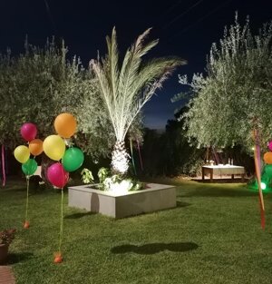 Festa di compleanno