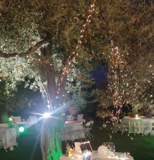 disposizione tavoli catering @la Galleria