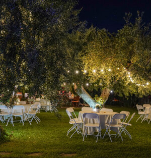 Cena sotto gli ulivi