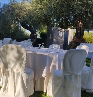 Tavoli apparecchiati sotto gli ulivi @santa lucia le sabbie d'oro