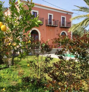 I limoni della Villa