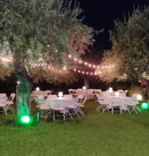 tavoli sotto gli ulivi