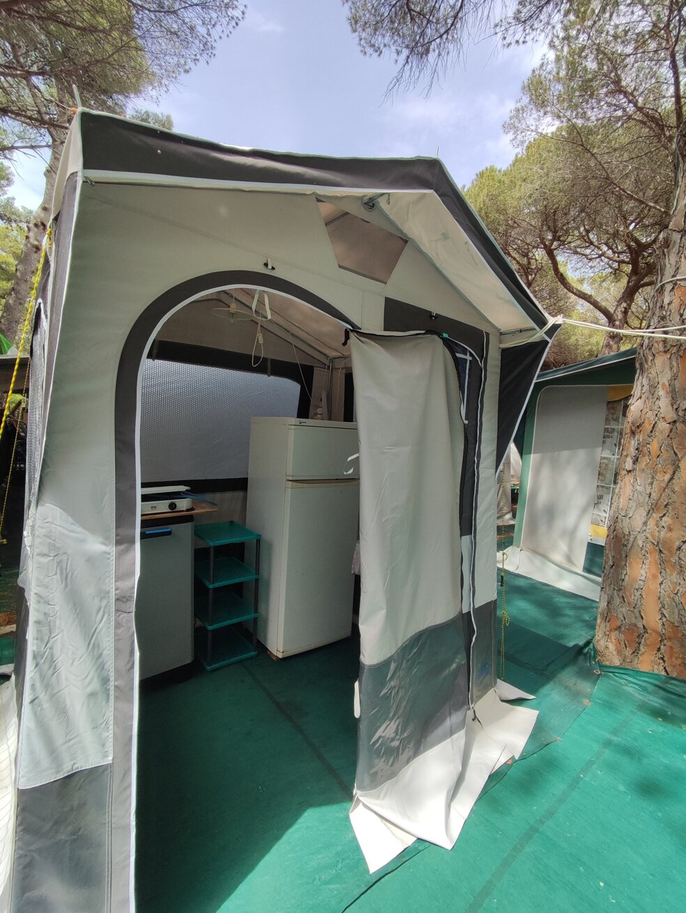 1e7e5b08-3d09-4688-bfde-4be0f982c557