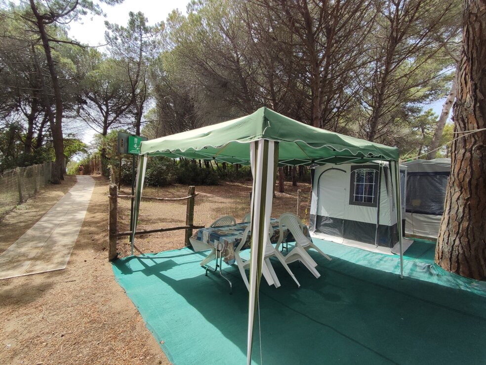 2682ee17-2958-458a-a677-34b0fbb28a9f