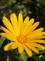 2d9f64c0-eb4f-4267-8e5a-e6e2bae5f6b5 2d9f64c0-eb4f-4267-8e5a-e6e2bae5f6b5