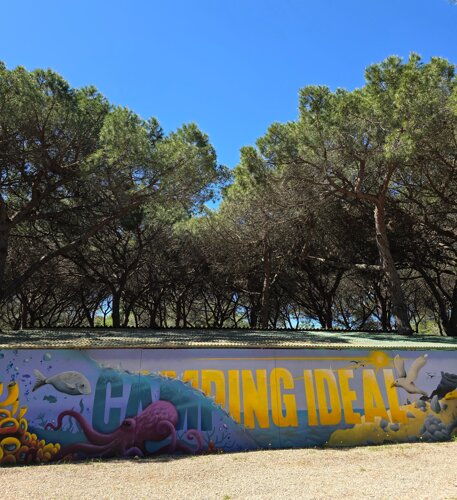 a80e95db-df40-450b-a17e-9e0bf48d80c5 a80e95db-df40-450b-a17e-9e0bf48d80c5