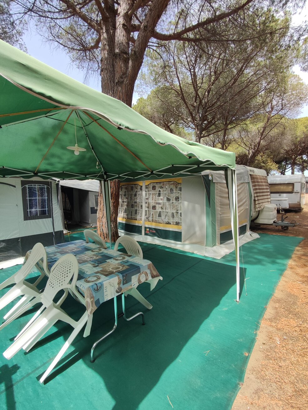 66db9ef3-f10e-444d-9649-927bb8d91270