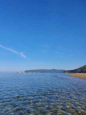 11989240-0af4-4162-8dff-2114630c71ea