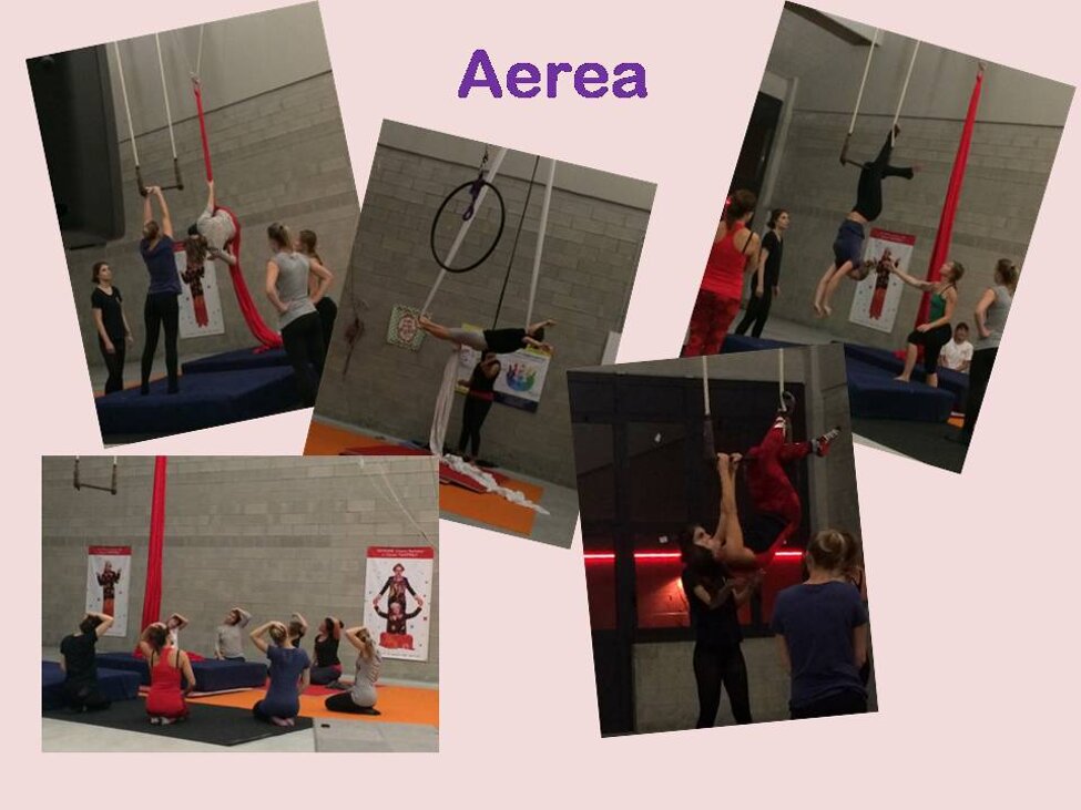 aerea