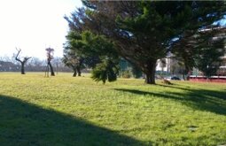 37c98928-954b-42de-a468-d611fcd91bcd