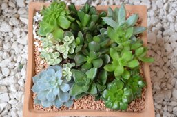 8d0442d0-25ed-475c-b648-92b899538f7e