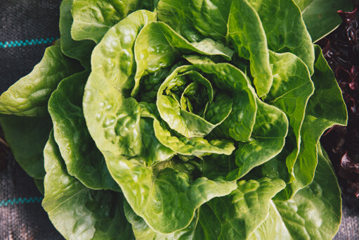 maso_corradini_2019_web-12.jpeg maso_corradini_2019_web-12.jpeg