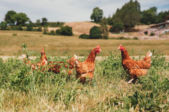 f517c381-1158-4ac0-9174-b05f80517dbd f517c381-1158-4ac0-9174-b05f80517dbd