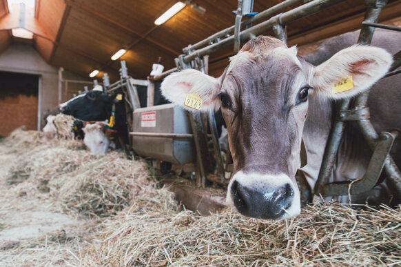 7944ef1a-9973-45be-b414-62e10cd58bfc 7944ef1a-9973-45be-b414-62e10cd58bfc