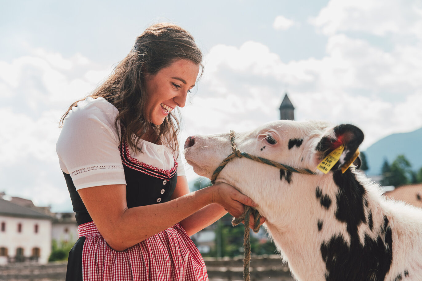 8f930feb-410e-461b-bca8-c73a4732d647 8f930feb-410e-461b-bca8-c73a4732d647