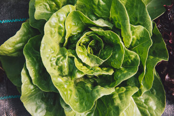 d26958bc-721a-499f-9003-e3b3c3a1c1a7 d26958bc-721a-499f-9003-e3b3c3a1c1a7