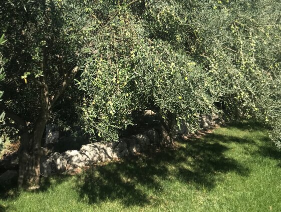 243f19e9-53c5-4343-a572-e9b770381585.jpeg 243f19e9-53c5-4343-a572-e9b770381585.jpeg