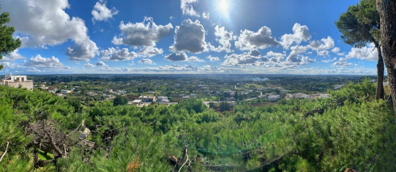 Cisternino, diventa pi� verde!