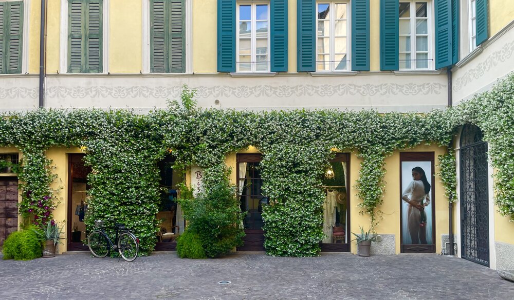 bisoucortile.jpeg