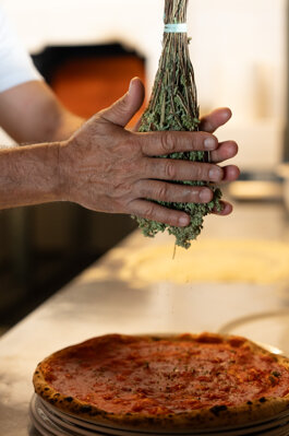 0abf9a31-a979-4c55-a034-4c9b0a114a7e