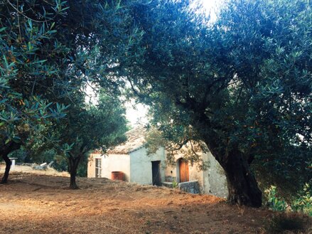 12589495-20d0-43ae-bf81-8d978286f57d 12589495-20d0-43ae-bf81-8d978286f57d