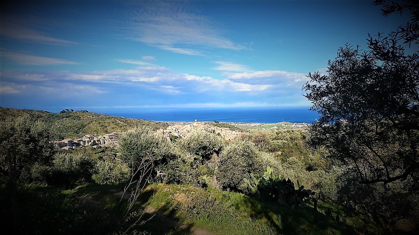 LA POTATURA: RACCONTO DI UN INVERNO A CURARE GLI ALBERI D&rsquo;ULIVO