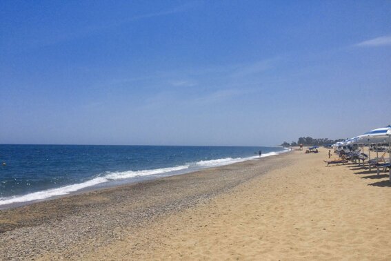 a03bbdad-202b-4019-bd25-2f270f542155 a03bbdad-202b-4019-bd25-2f270f542155