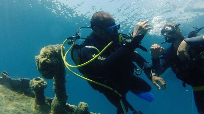 5cf39512-9407-4b4b-bac4-fed0604646c0 5cf39512-9407-4b4b-bac4-fed0604646c0