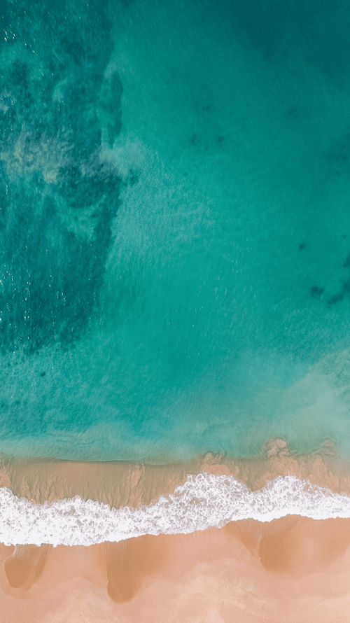 0f7304f3-0c1f-4c78-a9f2-c99daa1610eb 0f7304f3-0c1f-4c78-a9f2-c99daa1610eb