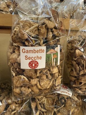 gambette-secche-marasmius-oreades