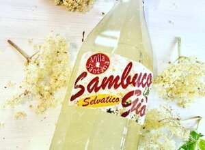 eb180b5472c85cae9f877df1d7c73a18637ea557