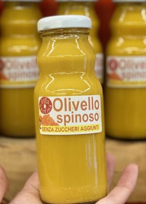 succo-madre-di-olivello-spinoso-100